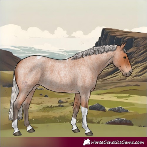 Horse Color:Silver Bay Roan Tobiano 