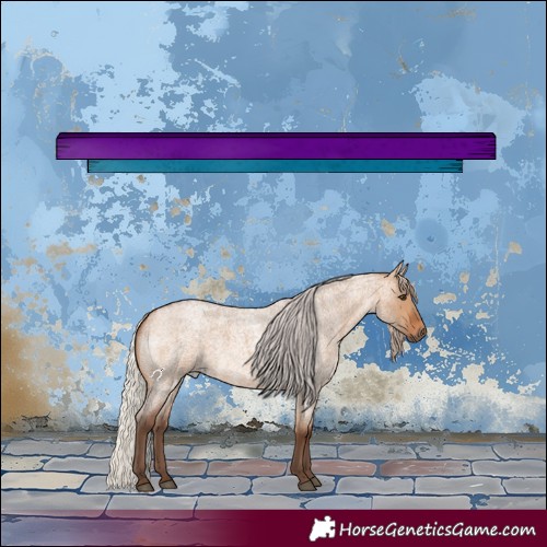 Horse Color:Silver Bay Roan Dun 