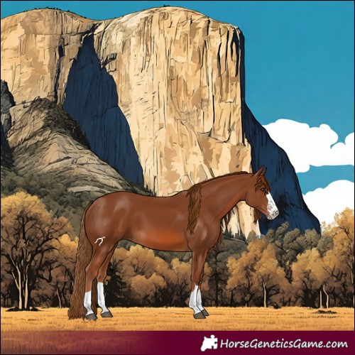 Horse Color:Chestnut 