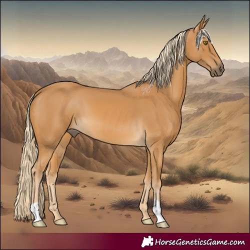 Horse Color:Palomino 