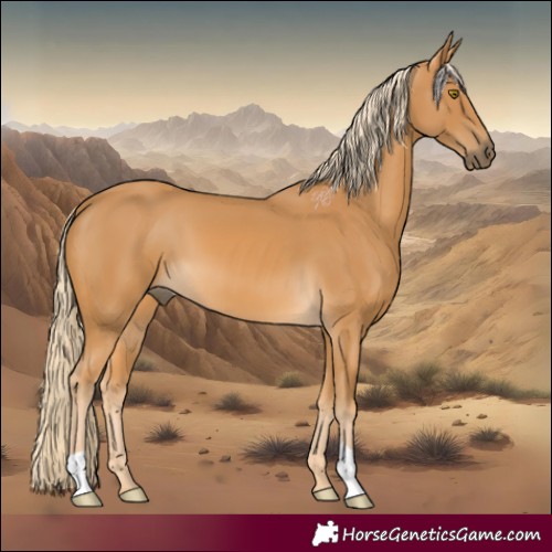 Horse Color:Palomino 