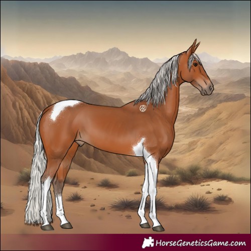 Horse Color:Silver Bay Tobiano 