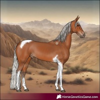 Horse Color:Silver Bay Tobiano 