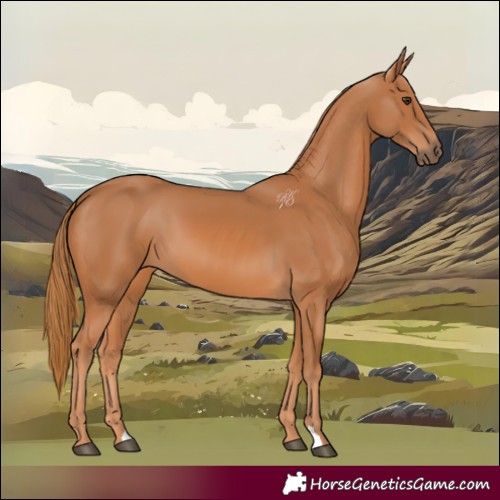 Horse Color:Chestnut 