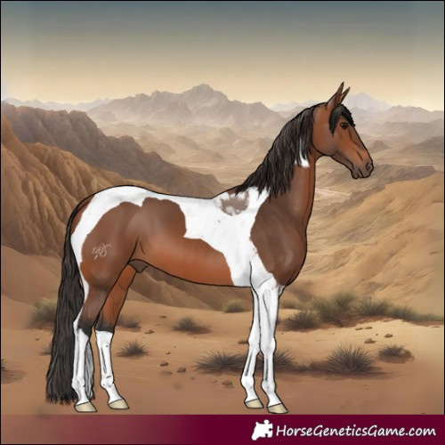 Horse Color:Bay Tobiano 