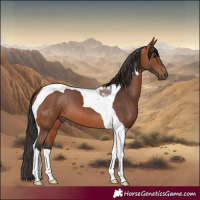 Horse Color:Bay Tobiano
