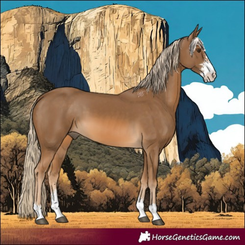 Horse Color:Chocolate Palomino Sabino 