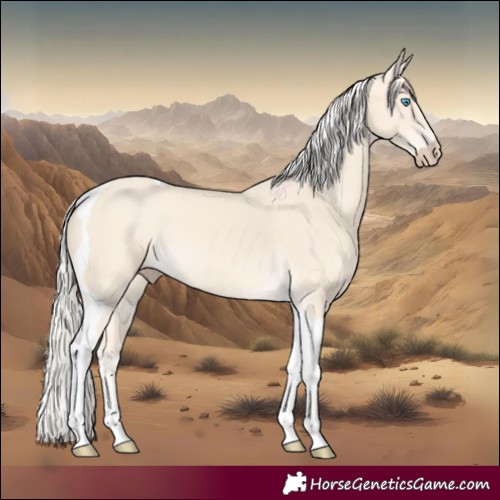 Horse Color:Cremello Tobiano 