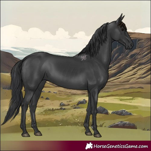 Horse Color:Black 