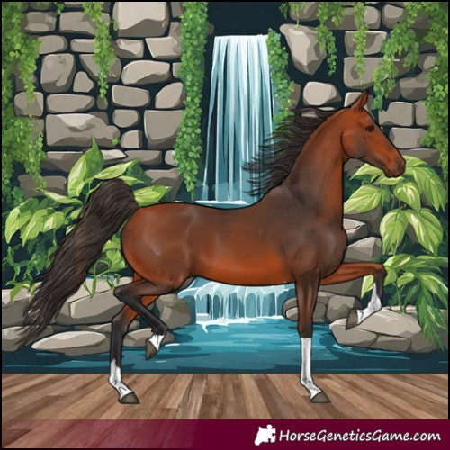 Horse Color:Bay Tobiano 