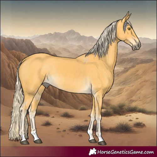 Horse Color:Palomino 