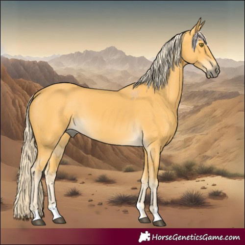 Horse Color:Palomino 