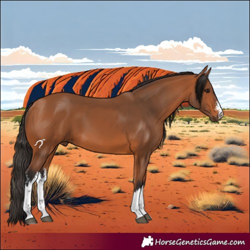 Horse Color:White Spotted Bay 