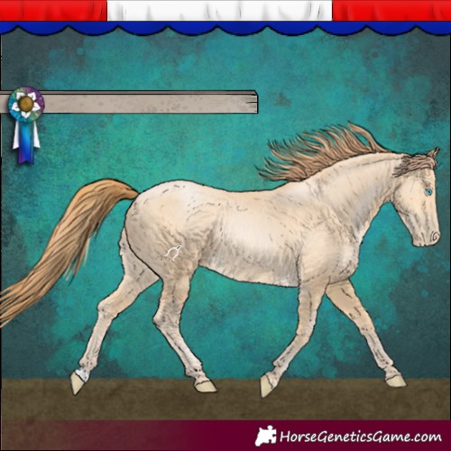 Horse Color:Buckskin Pearl 