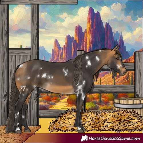 Horse Color:White Spotted Buckskin 