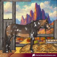 Horse Color:White Spotted Buckskin