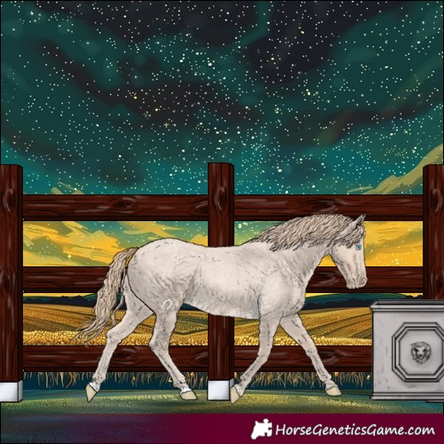 Horse Color:Perlino Roan 