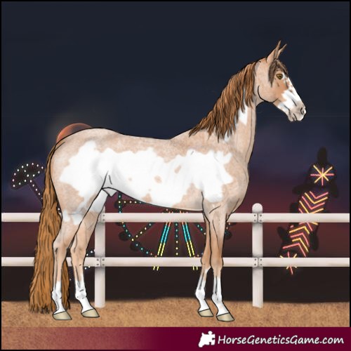 Horse Color:Red Roan Frame 