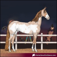 Horse Color:Red Roan Frame