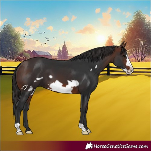 Horse Color:Brown Frame 