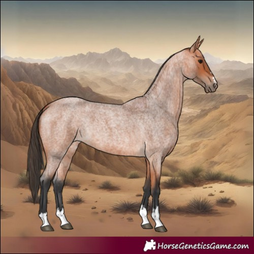 Horse Color:Bay Roan 