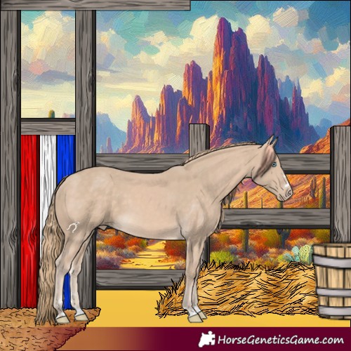 Horse Color:Perlino 