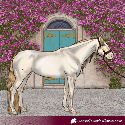 Horse Color:Smoky Grullo Pearl 