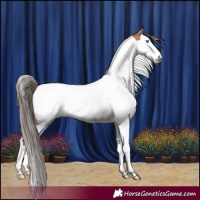 Horse Color:Bay Splash Tobiano Varnish 
