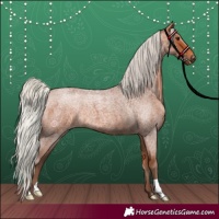 Horse Color:Silver Bay Roan 