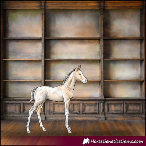 Horse Color:Silver Buckskin Pearl Splash Tobiano Blanket 