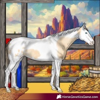Horse Color:Buckskin Splash Tobiano Blanket 