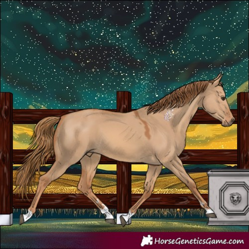 Horse Color:Red Dun 