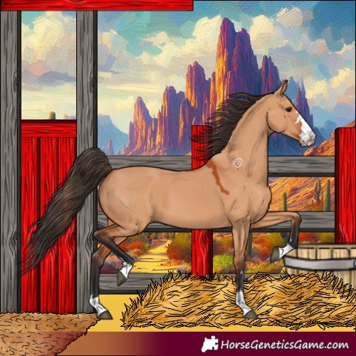 Horse Color:Bay Dun 