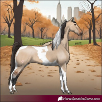 Horse Color:Bay Dun Tobiano