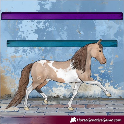 Horse Color:Bay Dun Tobiano Blanket 