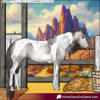 Horse Color:Gray Bay Tobiano