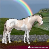Horse Color:Amber Champagne Ice Splash Tobiano Blanket 
