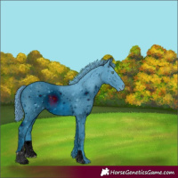 Horse Color:ERROR: UNKNOWN ANOMALY