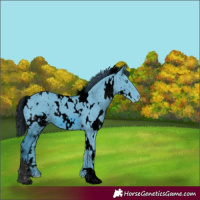 Horse Color:ERROR: UNKNOWN ANOMALY