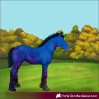 Horse Color:ERROR: UNKNOWN ANOMALY