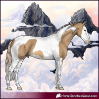 Horse Color:Chocolate Palomino Dun Splash Tobiano 