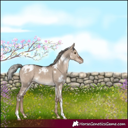 Horse Color:White Spotted Liver Red Dun Mushroom Varnish 