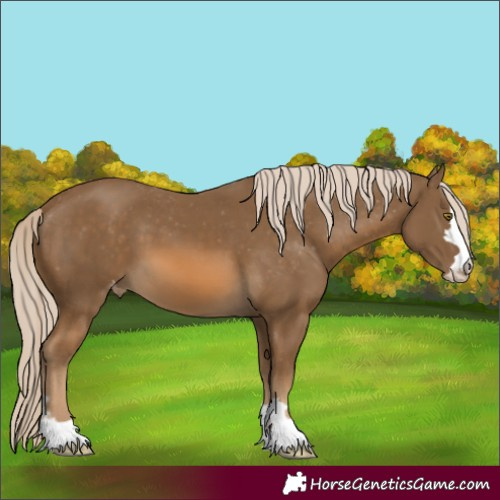 Horse Color:Chocolate Palomino Varnish 