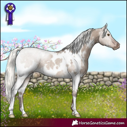 Horse Color:White Spotted Liver Red Dun Mushroom Rabicano 
