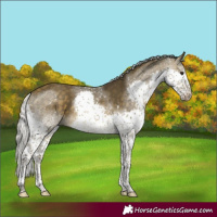Horse Color:Silver Buckskin Sabino Splash Tobiano Rabicano