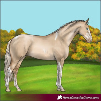 Horse Color:Chocolate Palomino Pearl Dun Sabino Tobiano 