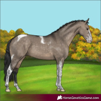 Horse Color:Brown Dun Sabino Tobiano 