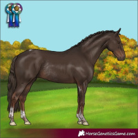Horse Color:Liver Chestnut Tobiano Rabicano 