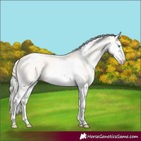 Horse Color:Cremello Dun Sabino Splash Tobiano Rabicano