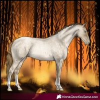 Horse Color:Buckskin Roan Snowdrop Tobiano Rabicano 